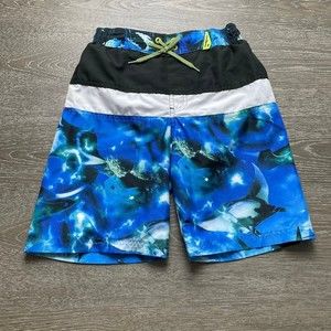Blue stingray Zeroxposur board shorts